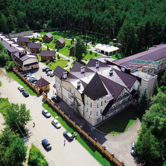 Сосновый бор