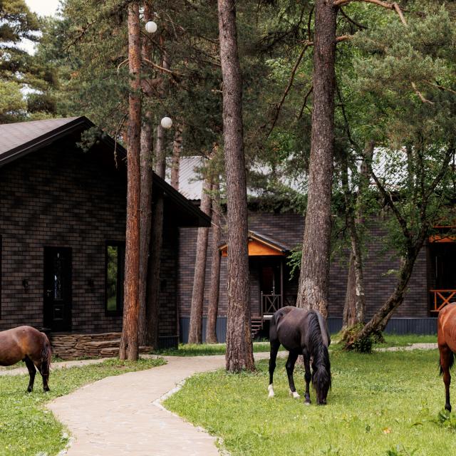 Konak House Boutique Hotel (Конак Хаус)