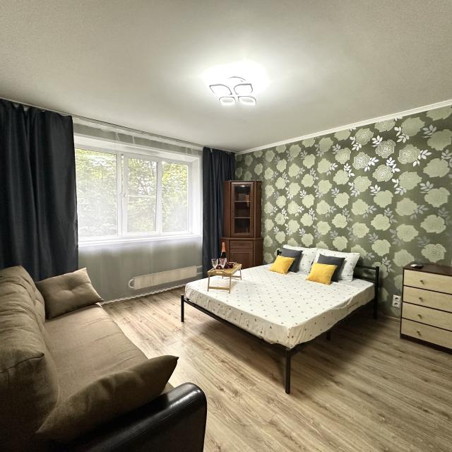 Spacious apartment near the city center