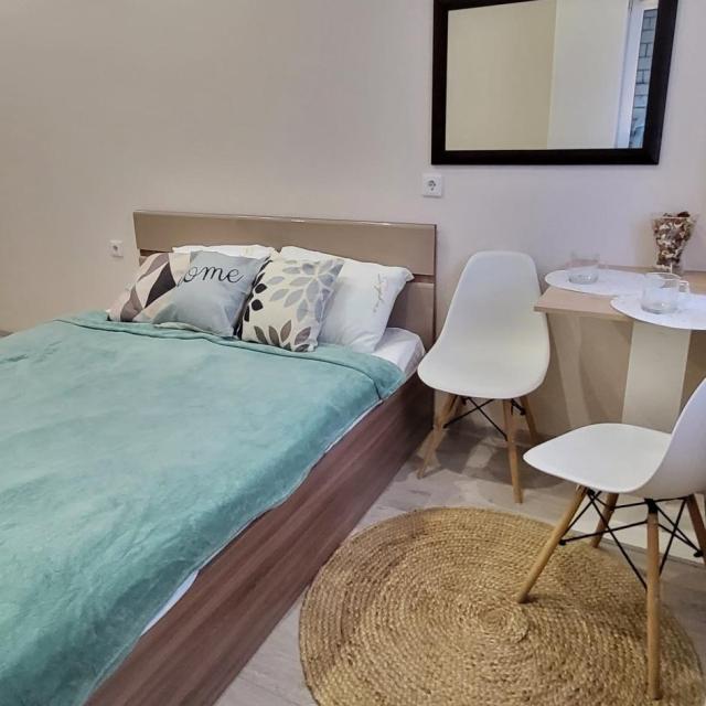 Faculty of Hospitality Apartments on Selezneva street 4\15