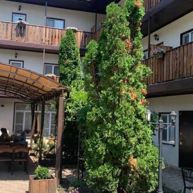 Амалия