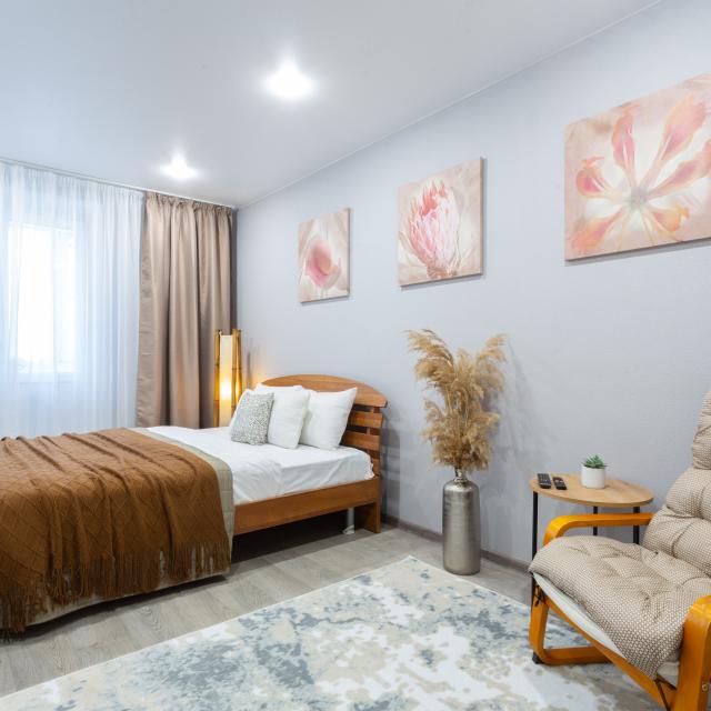 Apartment Atmosphere on Frunze street 29