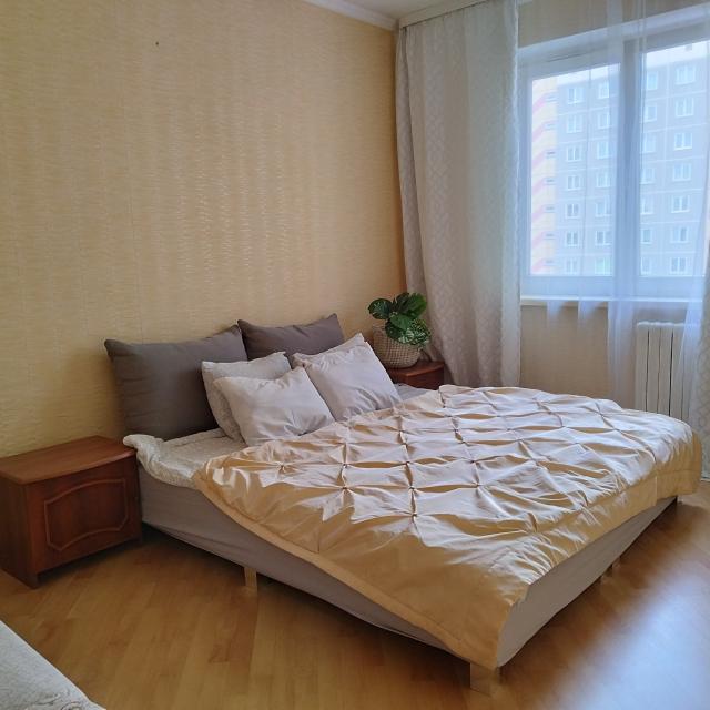 Apartments on 33 Pushkin Street