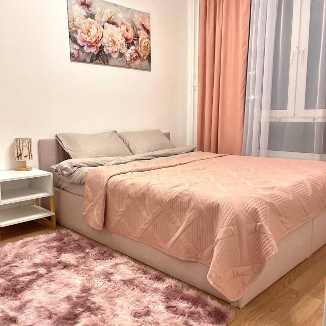 Apartamenty na ulice Ligovskij prospekt