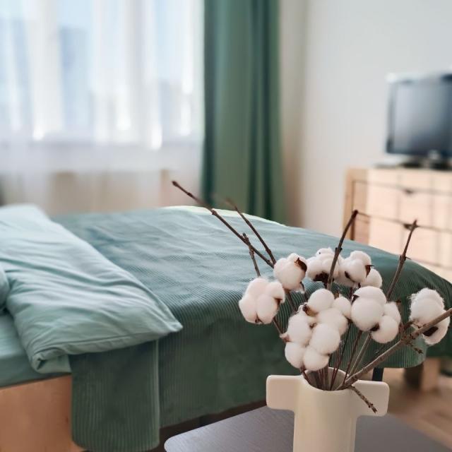 Апартаменты Soft dream на улице Каштановая