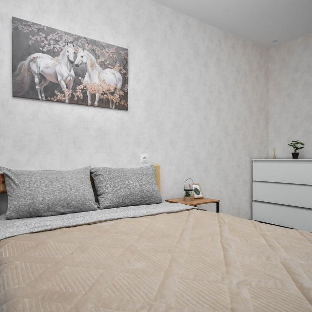 Cozy two-bedroom apartment near the Siberian Federal University