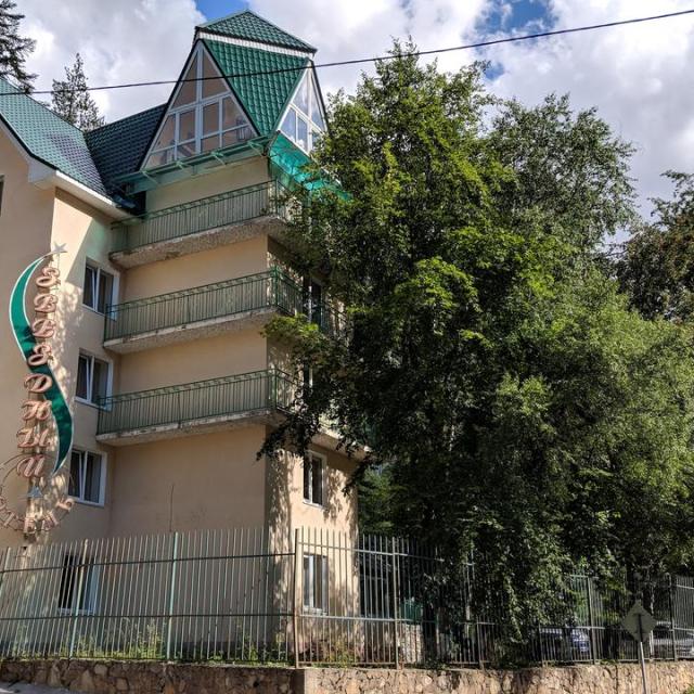 Zvezdnyi