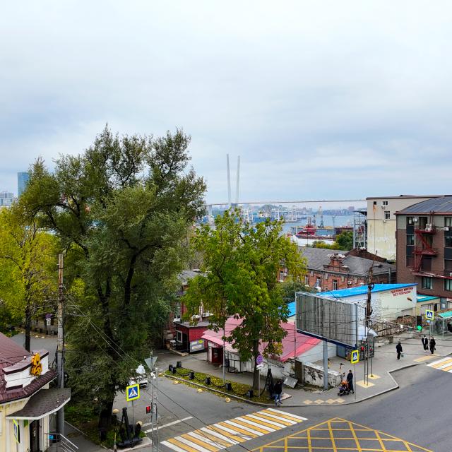г Владивосток, ул Светланская, д 123, кв 51