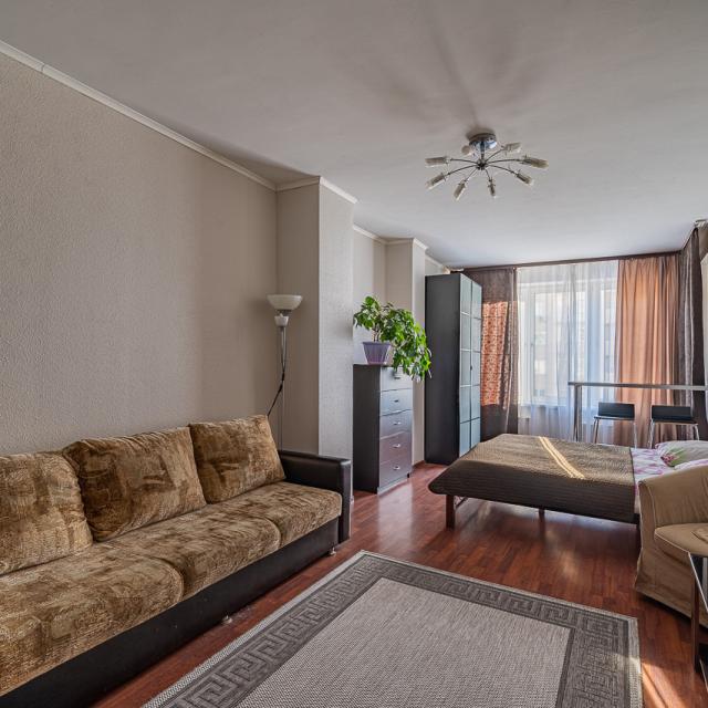 Apartments on Radishcheva street 33