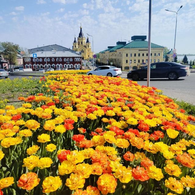 Volzhsky