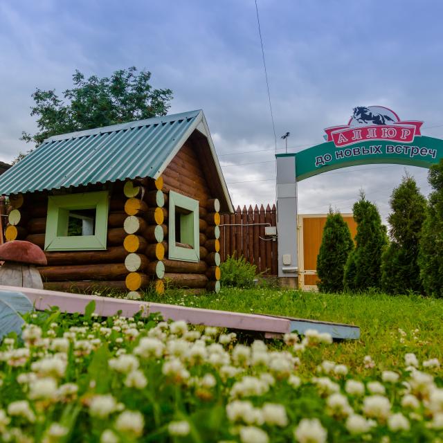 Аллюр