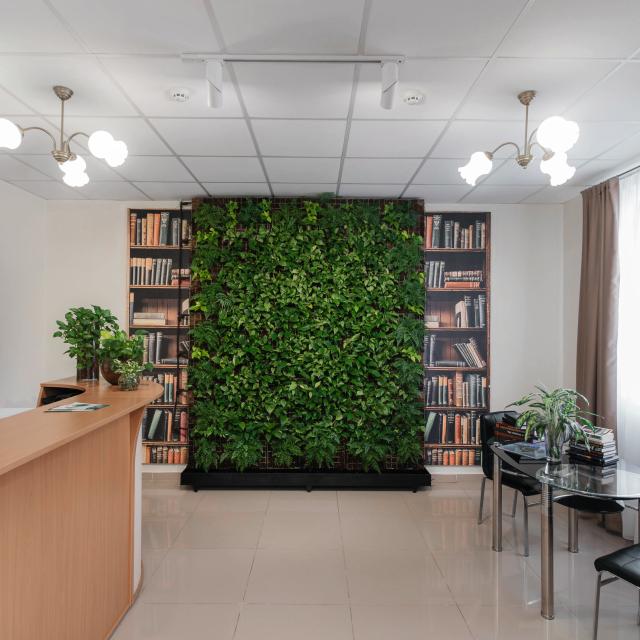 Континенталь Green Dream (Грин Дрим)