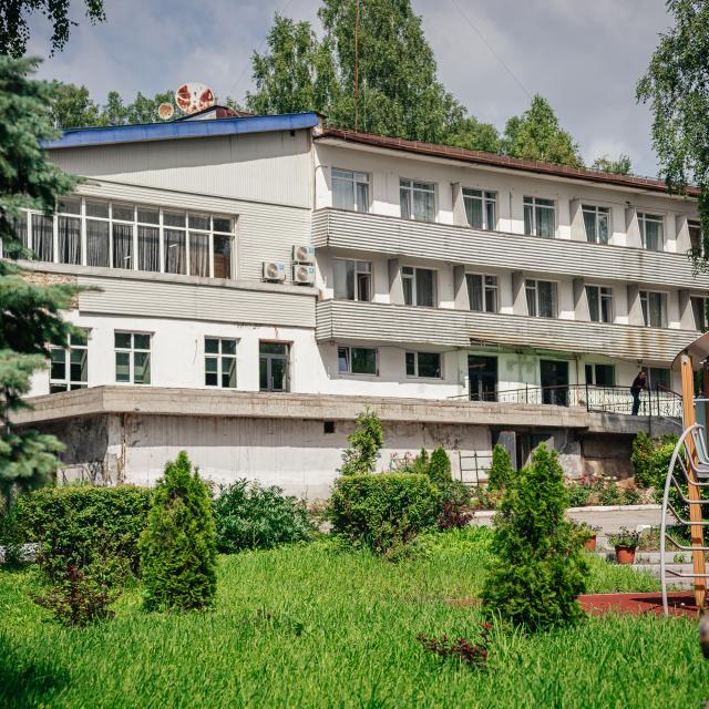 Берёзки