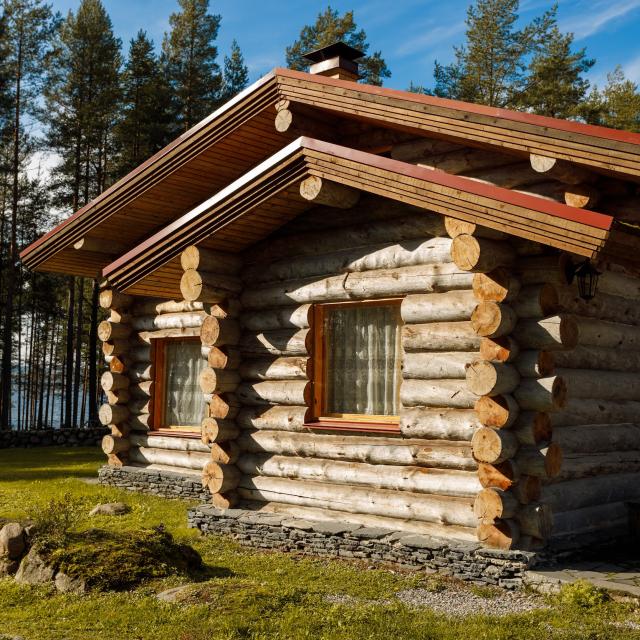 Медвежка в Карелии