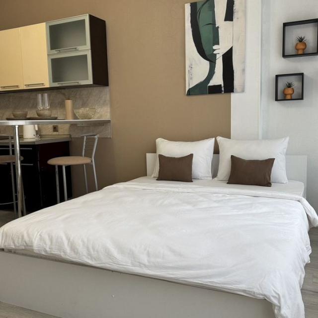 Studio apartment on Moskovsky Prospekt 73k5