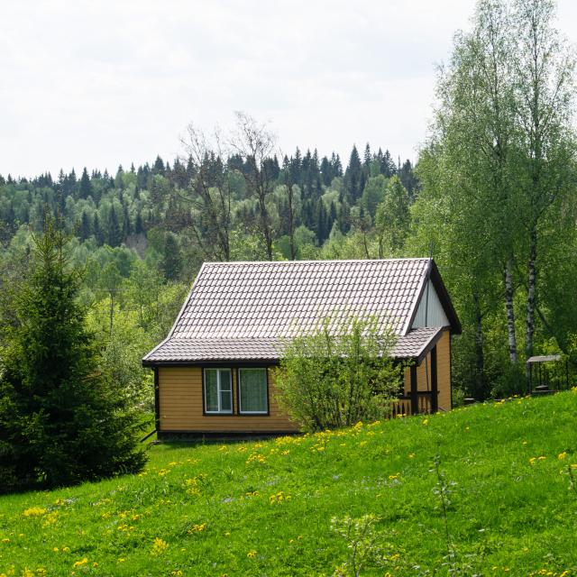 Вента