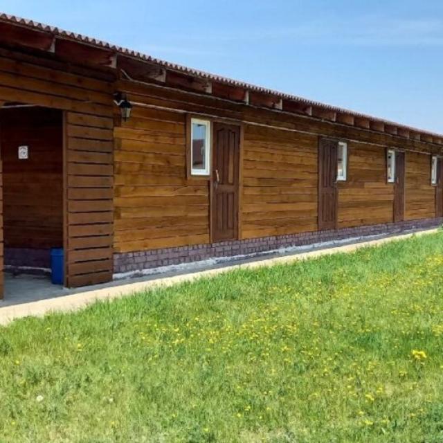 Ромашка