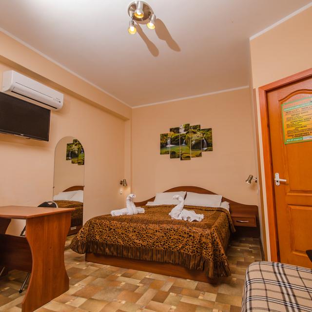 Рыжий кот