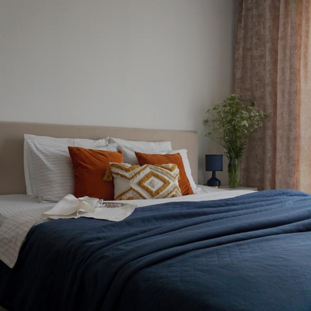 Spacious one-bedroom apartment