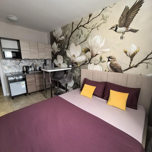 The apartment is a cozy studio for two
