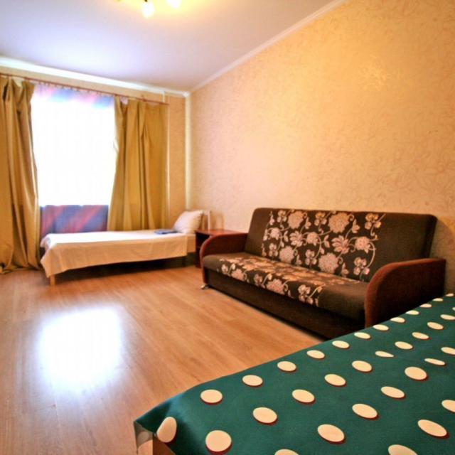Apartment on Neftekhimikov street 24