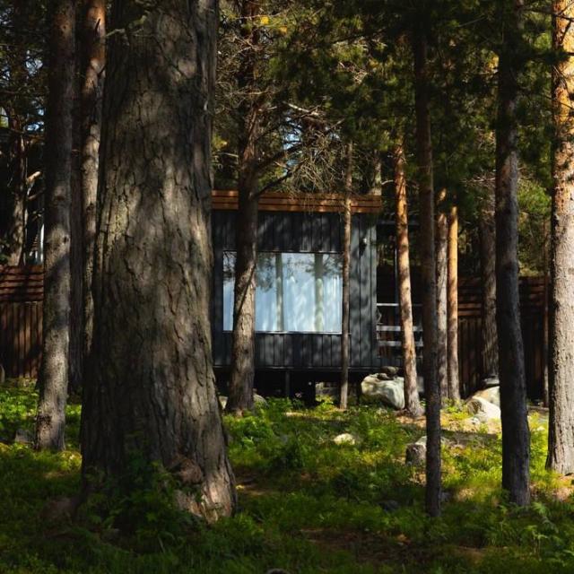 TaleoHome