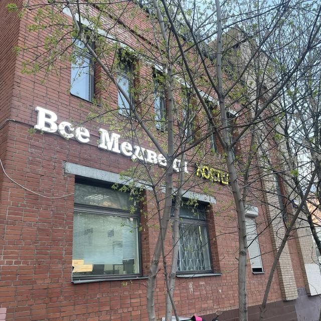 Все медведи