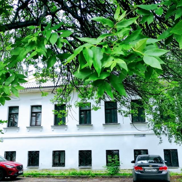 Мудрый Филин