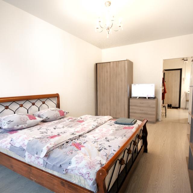 Pryanik Apartments (Пряник Апартментс) на улице Михеева