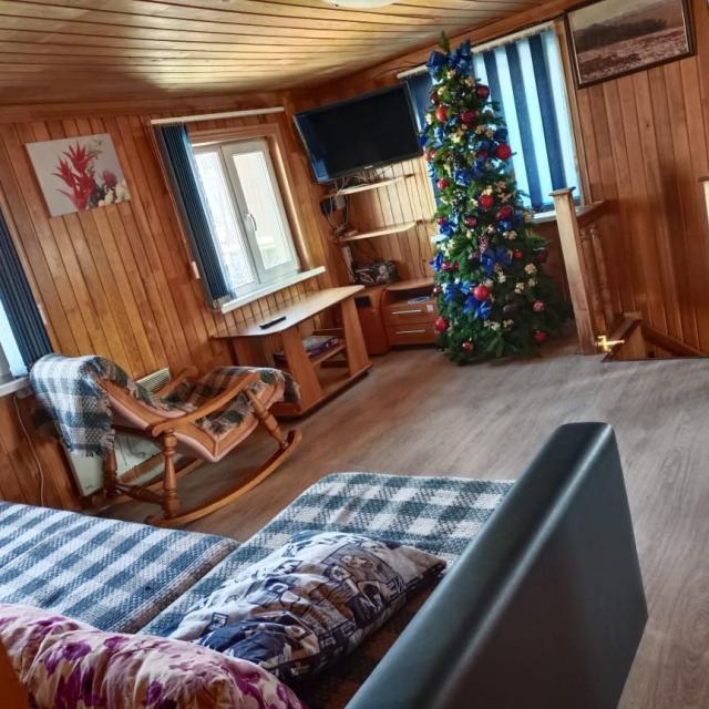 Cottage on Zhukovsky passage, 39